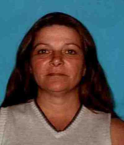 Texas Missing Person Notices-Texas Missing Person Notice Website-Lisa Lee Chandler